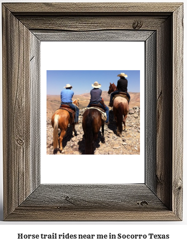 horse trail rides near me in Socorro, Texas